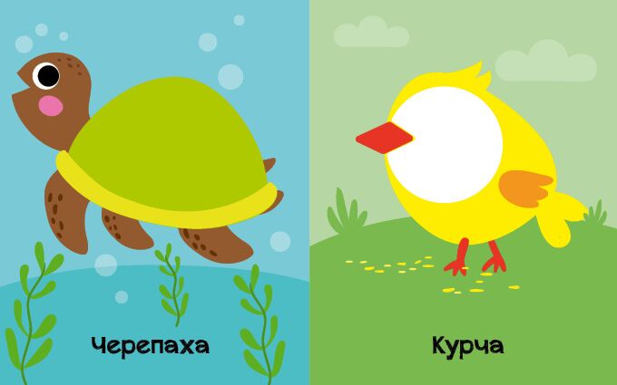 На кого схожі тваринки? Відкрий та здивуйся! Журба Ангелина Ранок - фото 2