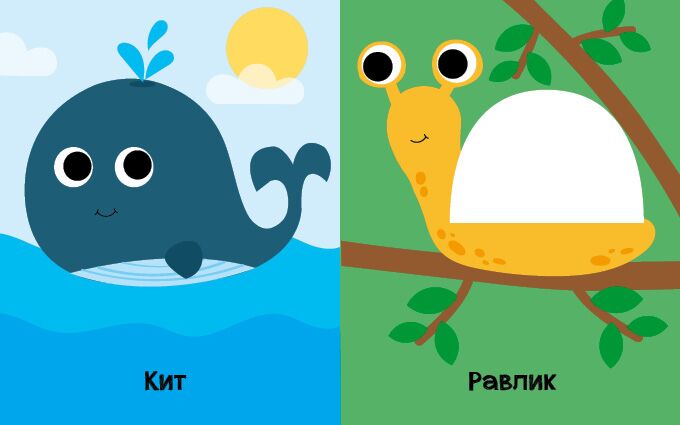 На кого схожі тваринки? Відкрий та здивуйся! Журба Ангелина Ранок - фото 3