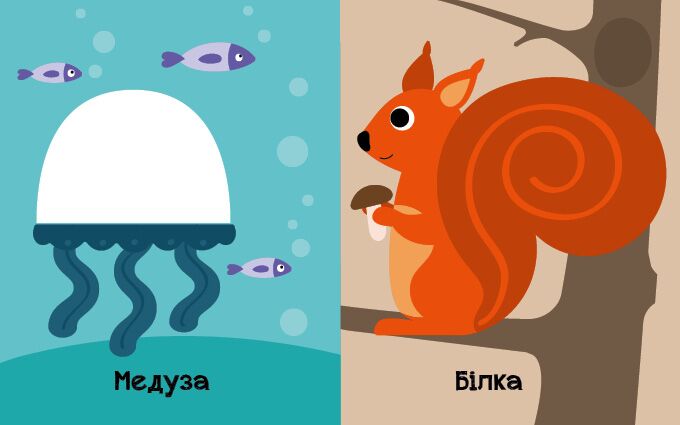 На кого схожі тваринки? Відкрий та здивуйся! Журба Ангелина Ранок - фото 4