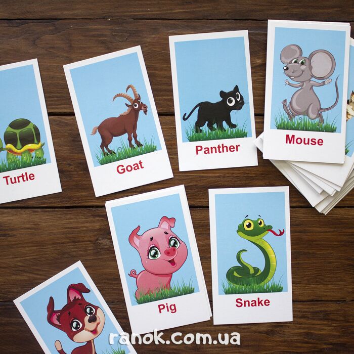 Набір карток Англійська мова Тварини Вивчаємо англійську мову 48 карток з малюнками
Ранок - фото 3