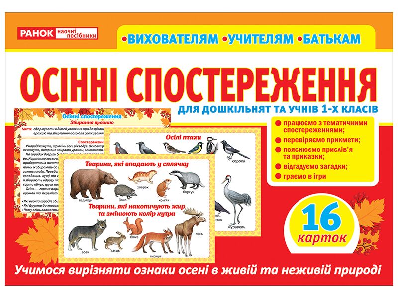 Розповімо дітям. Осінні спостереження - фото 1