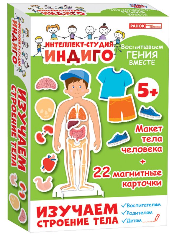 Настольная игра.Индиго.Изучаем строение тела - фото 1