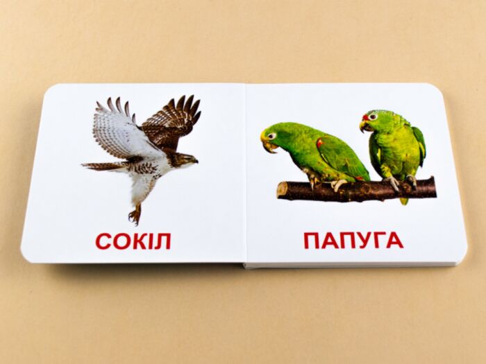 Книжка для найменших Птахи Ранок - фото 2