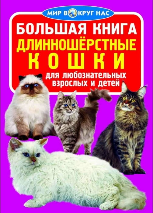 Большая книга. Длинношерстные кошки