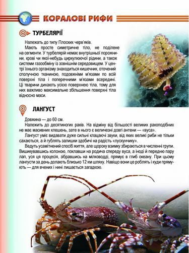 Мешканці морів та океанів - фото 2