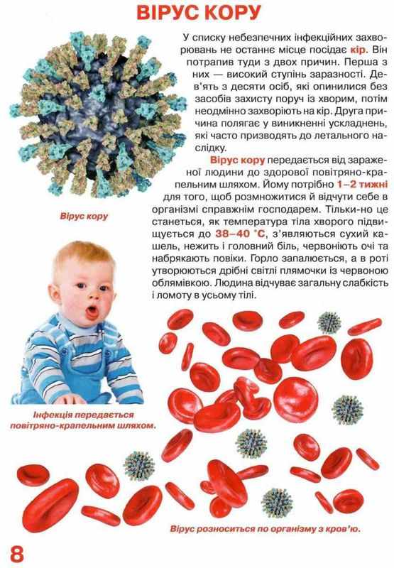 Велика книжка Віруси Світ навколо нас Крістал Бук - фото 2
