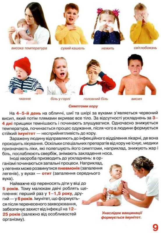 Велика книжка Віруси Світ навколо нас Крістал Бук - фото 3