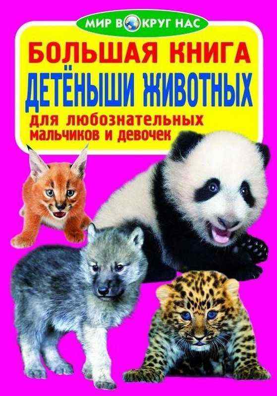Большая книга Детёныши животных Мир вокруг нас Кристал Бук - Велика дитяча енциклопедія