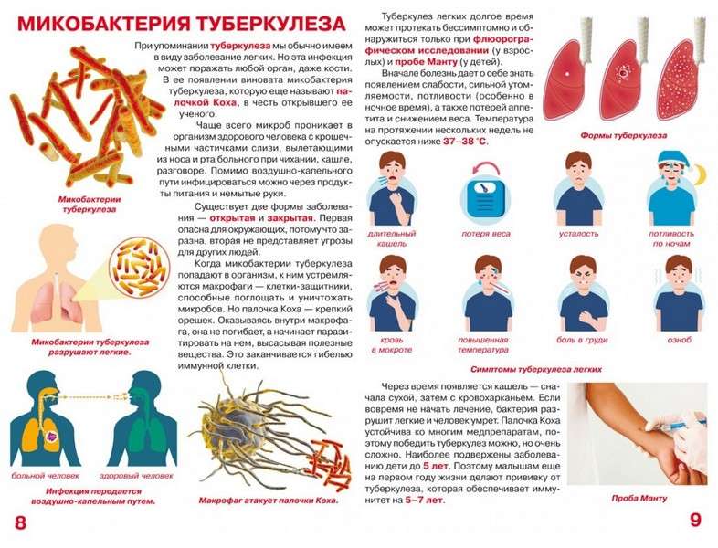 Большая книга Бактерии Мир вокруг нас Кристал Бук - фото 3