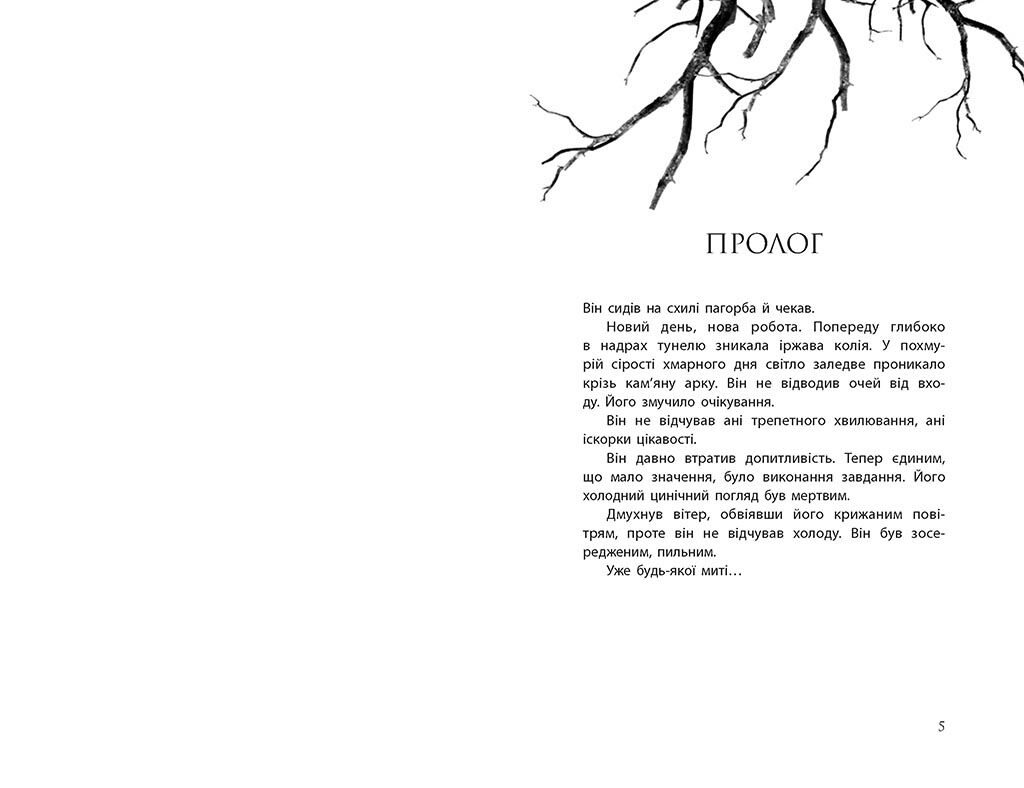 Провідник - фото 2