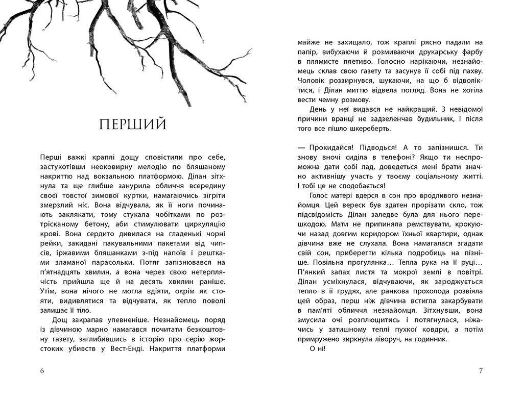 Провідник - фото 3