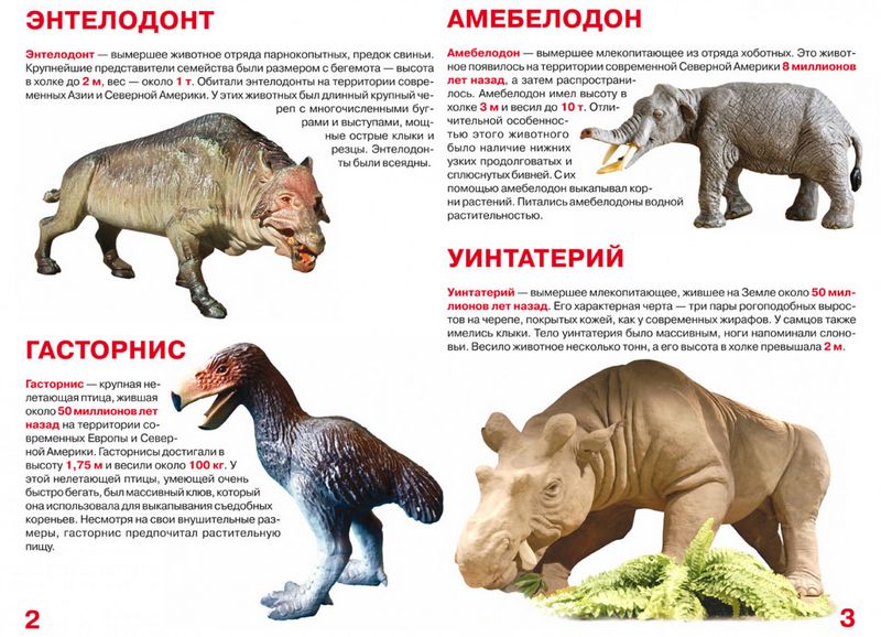 Большая книга. Доисторические животные - фото 2