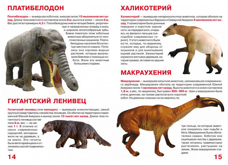 Большая книга. Доисторические животные - фото 3