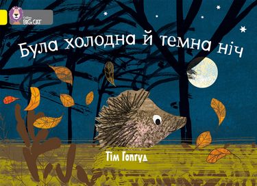 Була холодна й темна ніч - фото 1