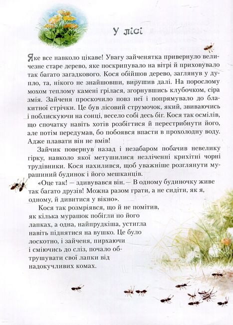 Пригоди зайченятка Косі або Таємниця справжньої дружби - фото 5