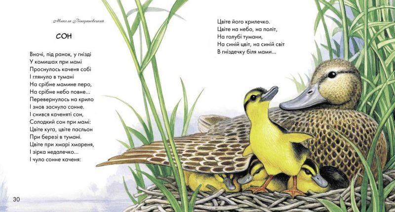 Жовтий гостинець: казки, оповідання та віршики. Українська сучасна класика - фото 3