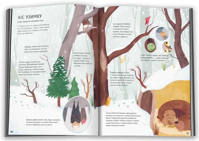 Таємне життя дерев - фото 5