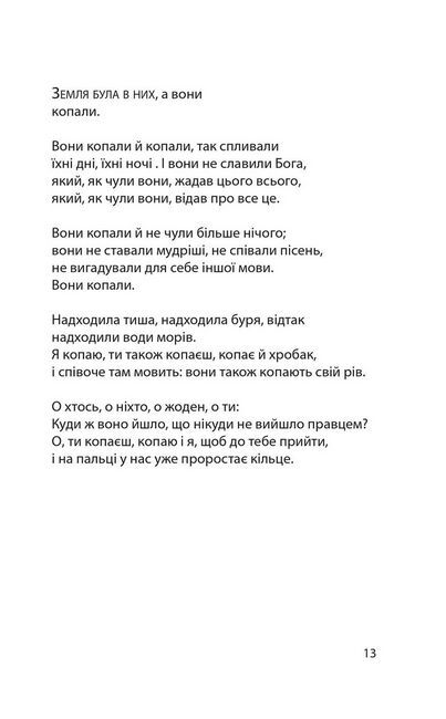 Нічийна троянда - фото 4