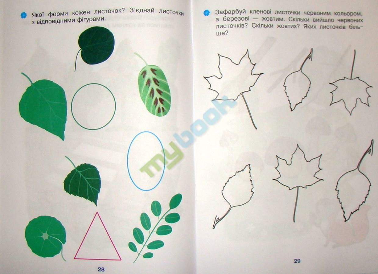Зошит для розвитку уваги, пам’яті, мислення - Стежка у світ. Перша мол.гр. Частина 2. Будна Т.Б. Богдан. - фото 4