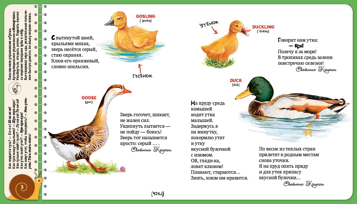 Первая книжка малыша. Кто сказал ку-ка-ре-ку? - фото 4