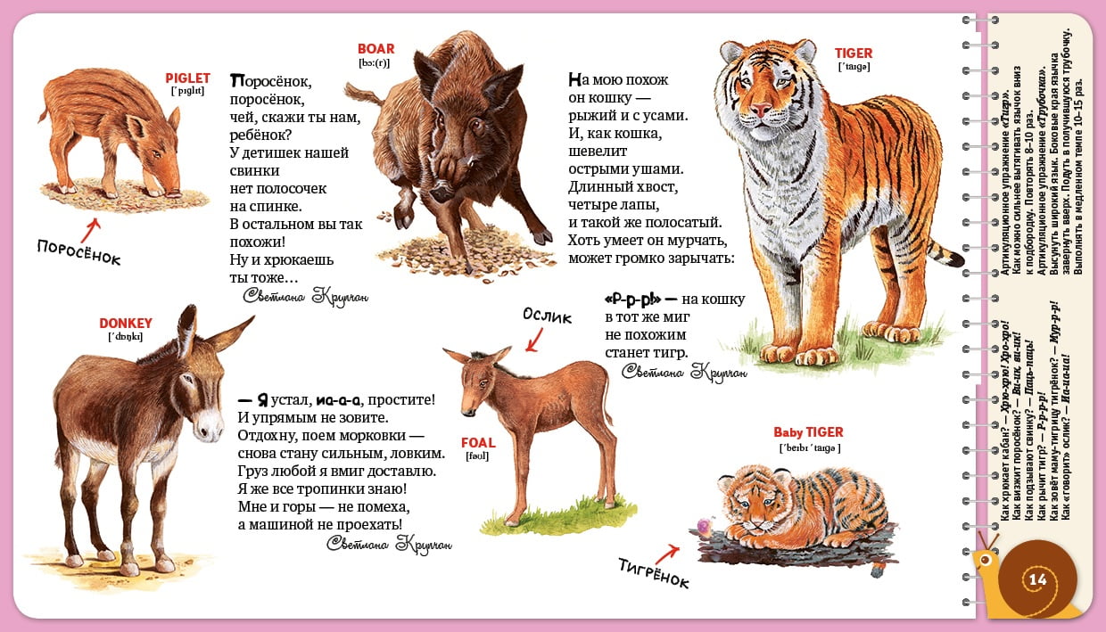 Первая книжка малыша. Кто сказал ку-ка-ре-ку? - фото 6