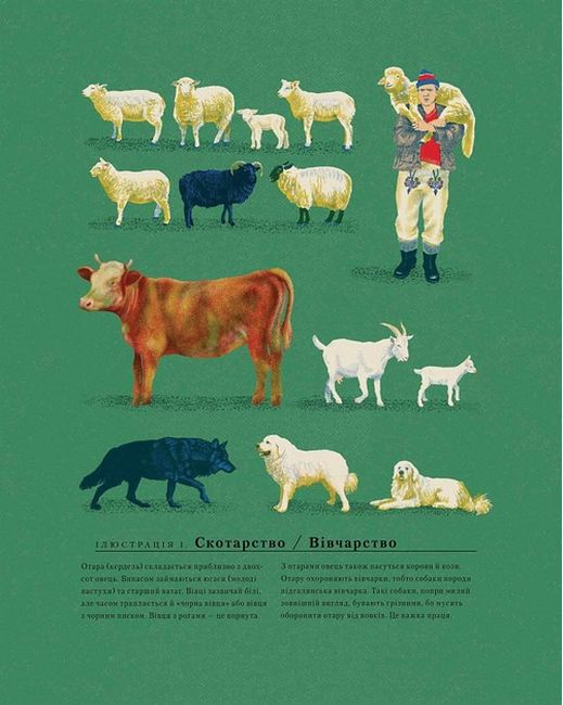 Літо в Бескидах - фото 3