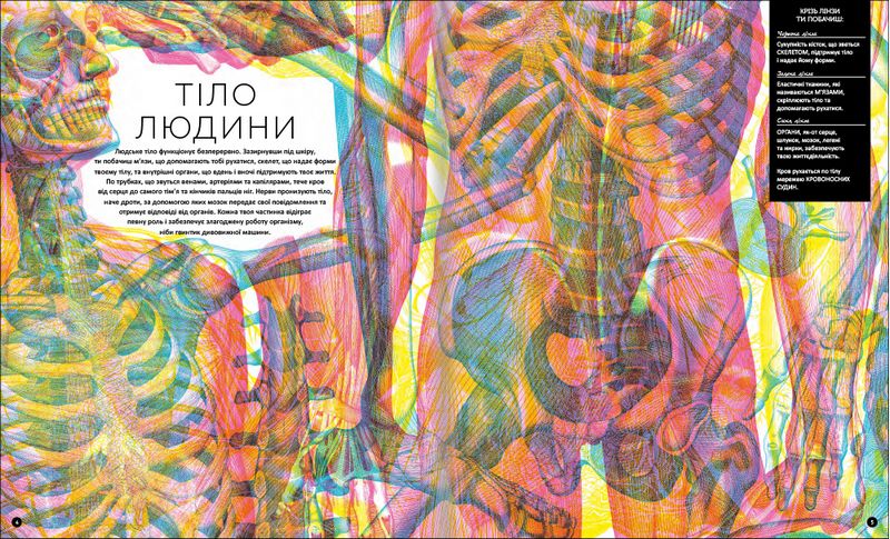 Прихований світ людського тіла - фото 2