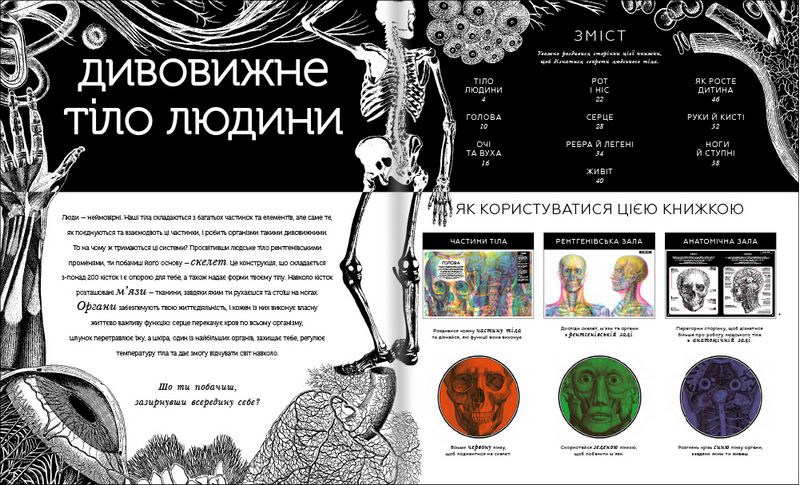 Прихований світ людського тіла - фото 3