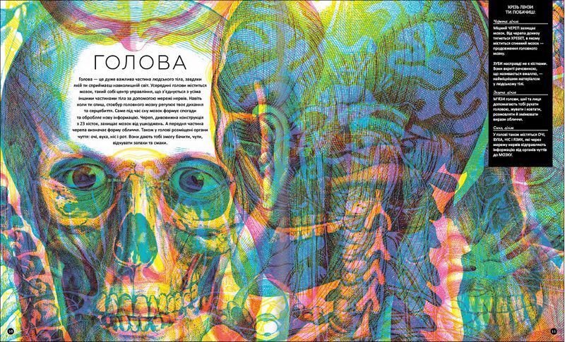 Прихований світ людського тіла - фото 6