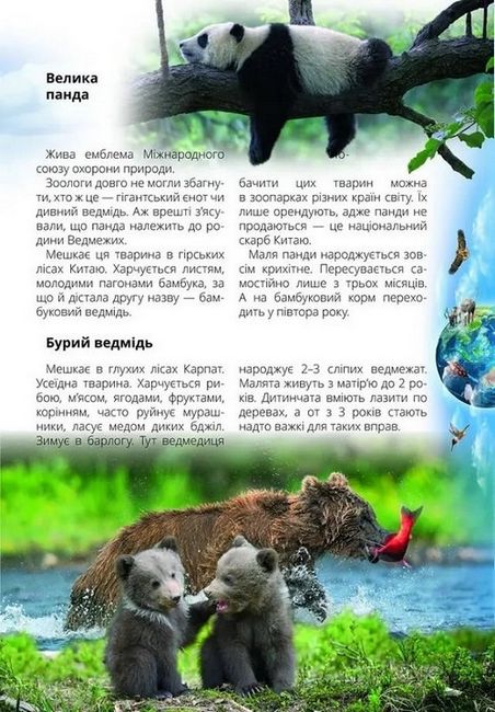 Про все на світі маленьким українцям - фото 2