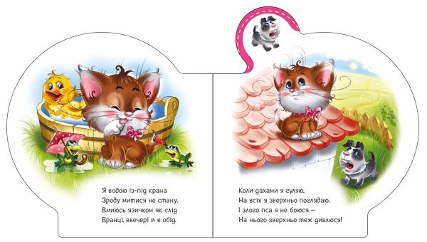 Все про кошенятко - фото 4