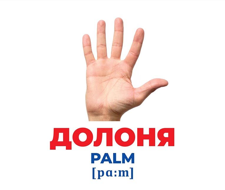 Геній з пелюшок.Будова тіла - фото 3