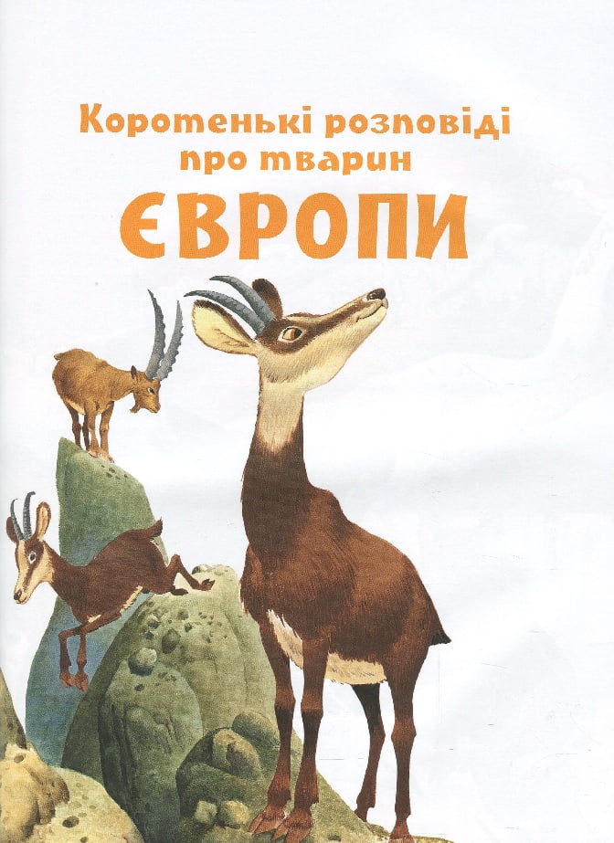 Коротенькі історії про тварин з усього світу - фото 4