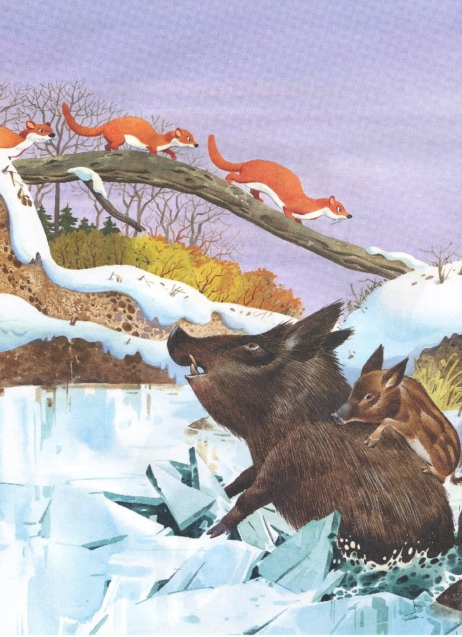 Коротенькі історії про тварин з усього світу - фото 5