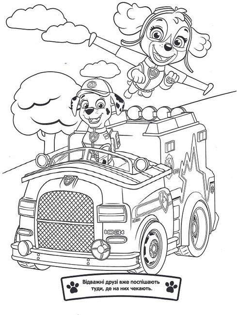 Веселі розмальовки. ТМPAW Patrol - фото 5