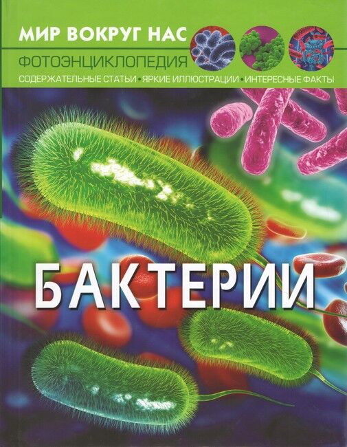 Мир вокруг нас. Бактерии - фото 1