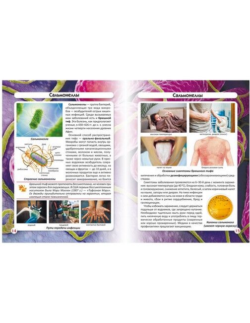 Мир вокруг нас. Бактерии - фото 2