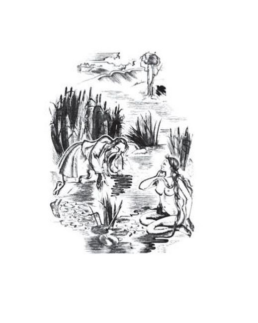 Лісова пiсня - фото 5