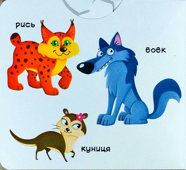 Лісові тварини. Дізнайся, грай, крути, штовхай. Перша книжка з рухомими елементами - фото 4