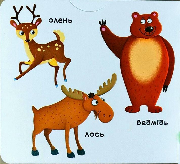 Лісові тварини. Дізнайся, грай, крути, штовхай. Перша книжка з рухомими елементами - фото 6