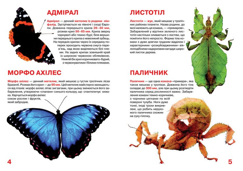 Велика книжка. Комахи - фото 2