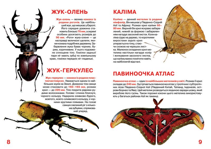 Велика книжка. Комахи - фото 3