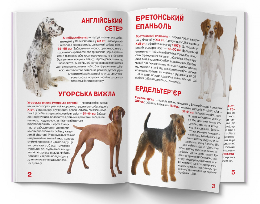 Велика книжка. Мисливські собаки. Crystal Book. - фото 2