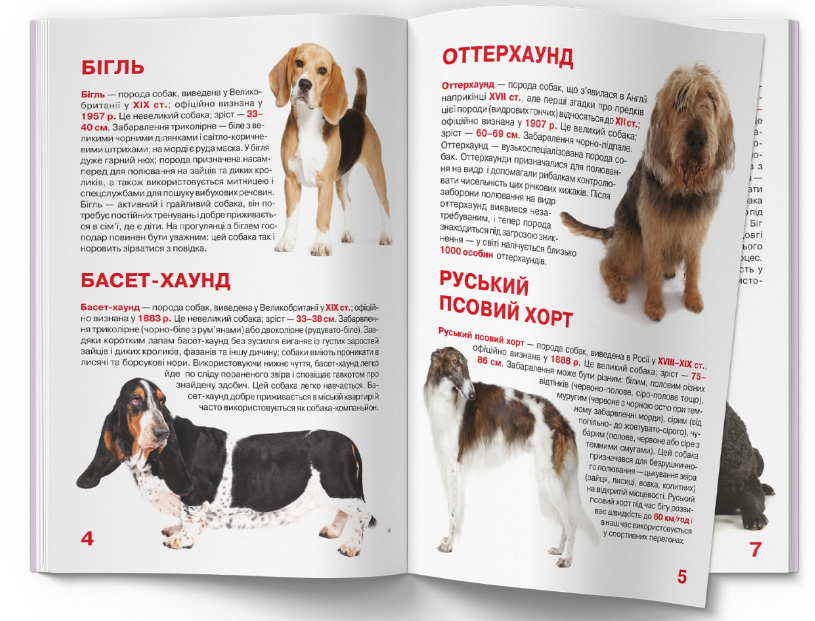 Велика книжка. Мисливські собаки. Crystal Book. - фото 3
