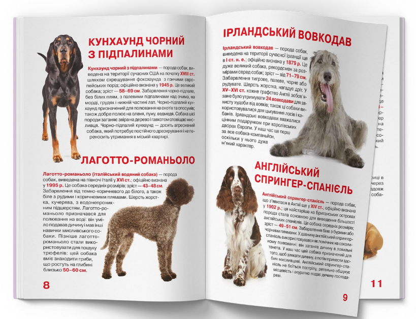 Велика книжка. Мисливські собаки. Crystal Book. - фото 4
