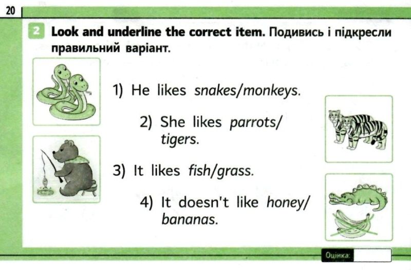 Експрес-перевірка Англійська мова 2 клас НУШ До підручника QUICK MINDS Г. Пухти та ін. Авт: Мері Коен Вид-во: Ранок - фото 4