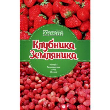 Клубника Земляника. Посадка, размножение, уход, уборка - фото 1