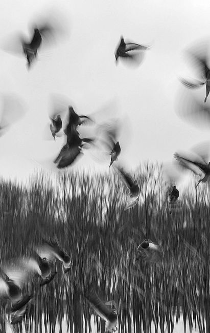 Страшенно голосно і неймовірно близько - фото 2