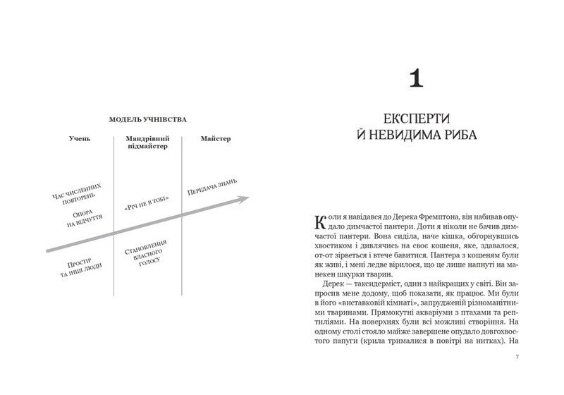 Як стати експертом. Шлях до майстерності - фото 2