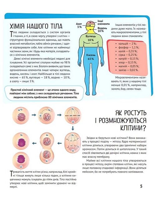 Дитяча ілюстрована енциклопедія. Тіло людини - фото 4